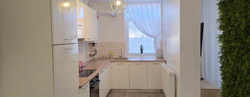 494357160_753645436993214_6871698687926012126_n