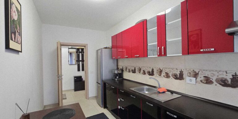 AP0918-Apartament 2 camere de inchiriat, Prima Universitatii-12