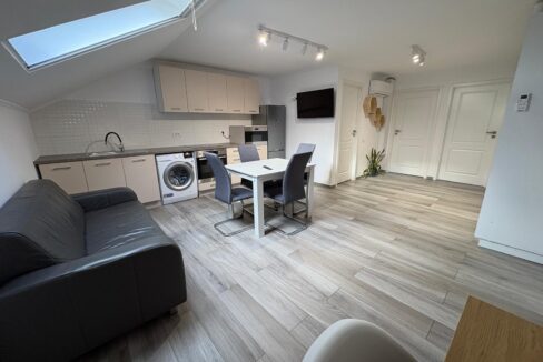 AP0963-Apartament 3 camere la casa de inchiriat, mansarda, cart. Grigorescu-08