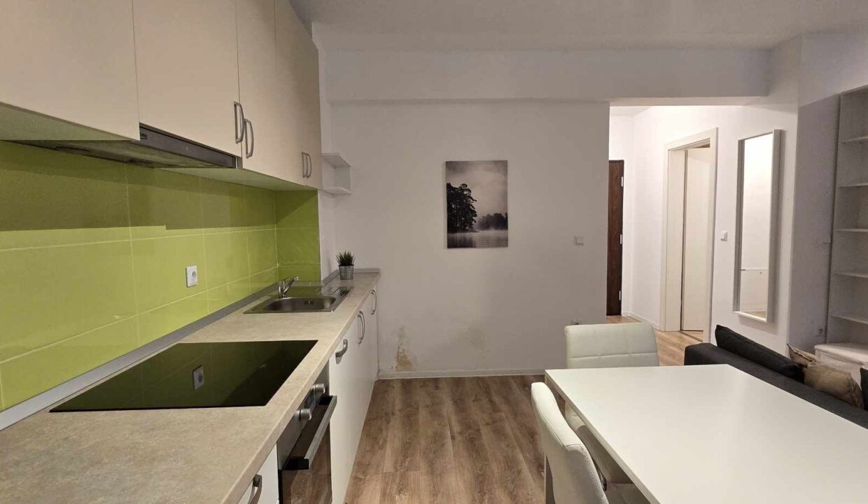 AP1008-Apartament tip studio de inchiriat et. 4, ap. 36-11