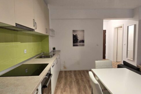 AP1008-Apartament tip studio de inchiriat et. 4, ap. 36-11