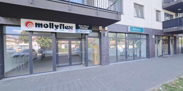 SC0113-Spatiu comercial de inchiriat, Calea Aradului-02