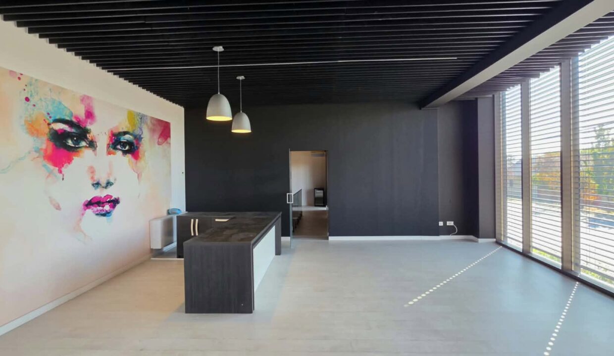 H0037-Hala, showroom, spatii birouri-17