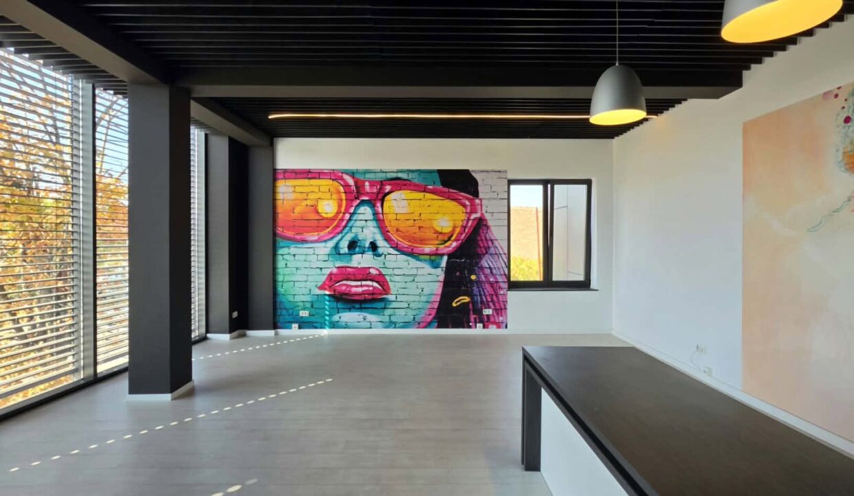 H0037-Hala, showroom, spatii birouri-18
