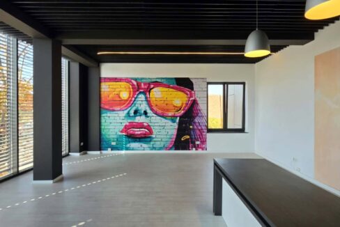 H0037-Hala, showroom, spatii birouri-18
