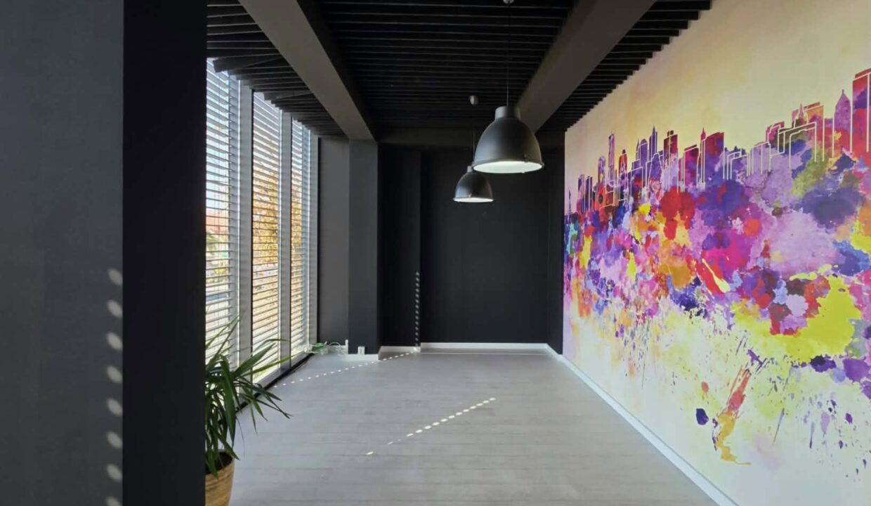 H0037-Hala, showroom, spatii birouri-22
