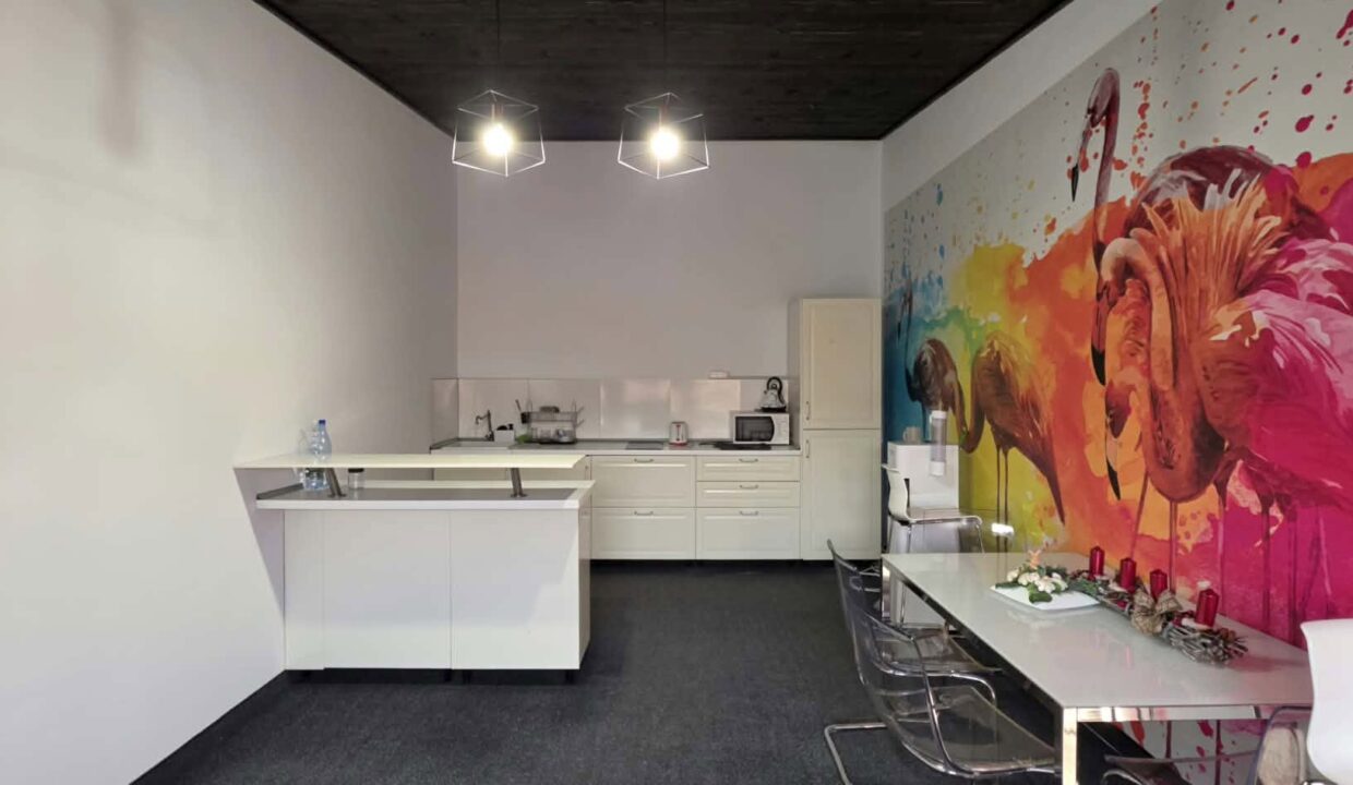 H0037-Hala, showroom, spatii birouri-25