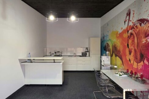 H0037-Hala, showroom, spatii birouri-25