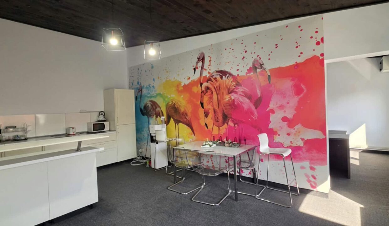 H0037-Hala, showroom, spatii birouri-27