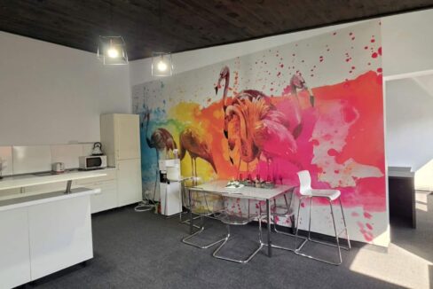 H0037-Hala, showroom, spatii birouri-27