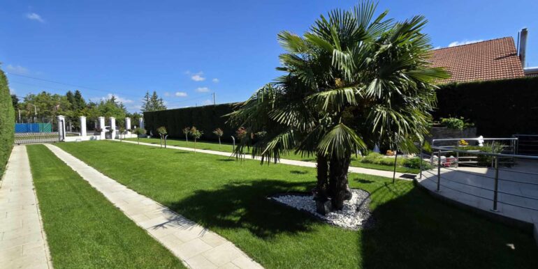 494357101_3443953829069237_6359218624549424342_n