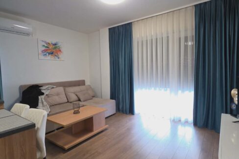 AP1225-Apartament 2 camere de inchiriat, str. Mestesugarilor-01