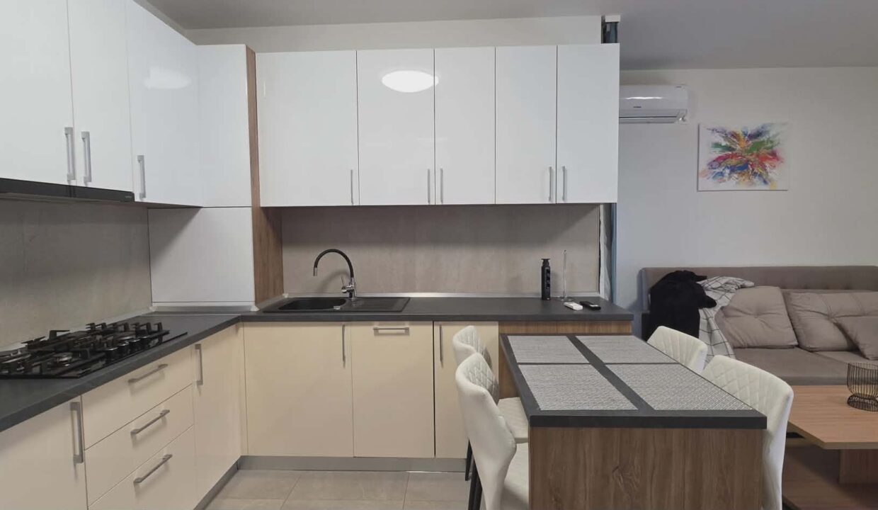 AP1225-Apartament 2 camere de inchiriat, str. Mestesugarilor-05