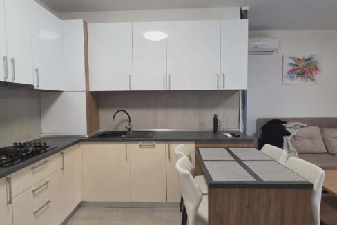 AP1225-Apartament 2 camere de inchiriat, str. Mestesugarilor-05
