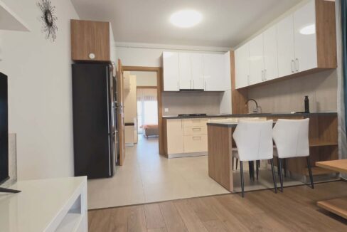 AP1225-Apartament 2 camere de inchiriat, str. Mestesugarilor-07
