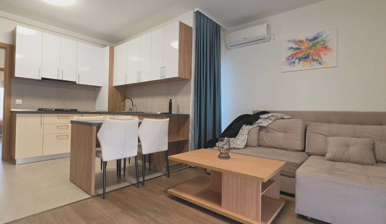 AP1225-Apartament 2 camere de inchiriat, str. Mestesugarilor-09