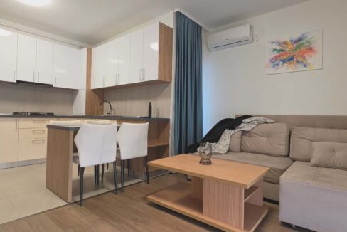 AP1225-Apartament 2 camere de inchiriat, str. Mestesugarilor-09