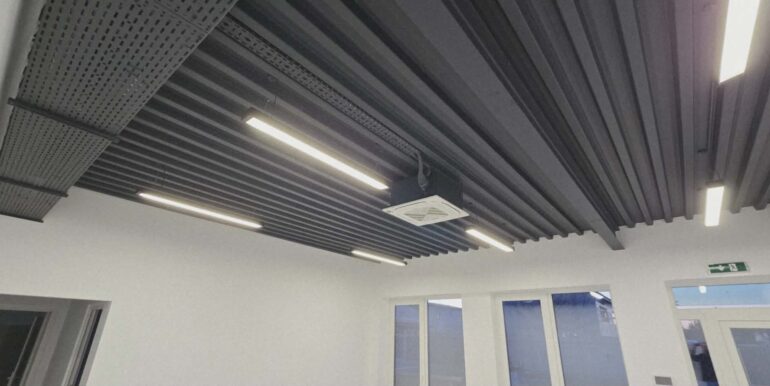 H0031-Hala de inchiriat spatiu de depozitare, showroom, birouri-15