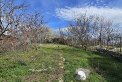 484796492_1040169084800677_6416889923644107290_n