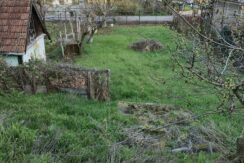 485096474_1481324103173923_8559051820509217286_n