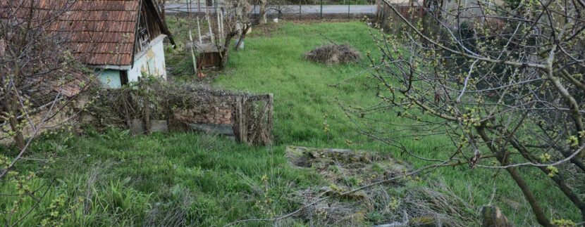 485096474_1481324103173923_8559051820509217286_n