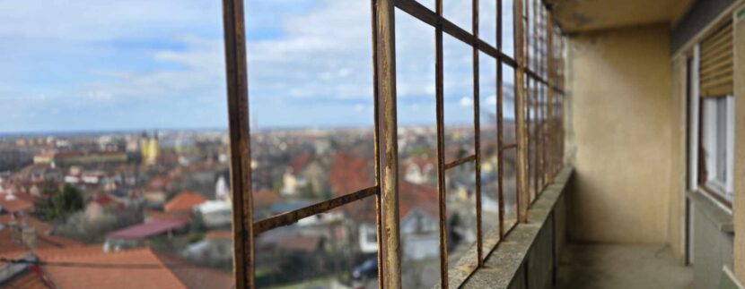 485597888_2297465630655710_3031213839044219113_n