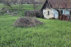 486017374_1212870890191216_4591882780574609192_n