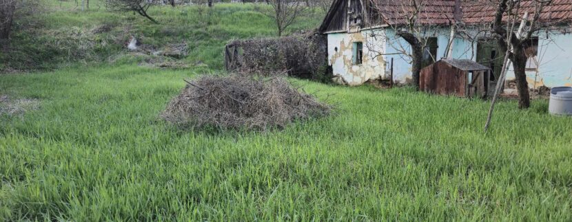 486017374_1212870890191216_4591882780574609192_n