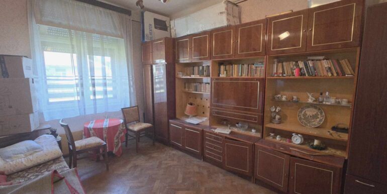 494819325_1149410037230724_9204402908754669124_n