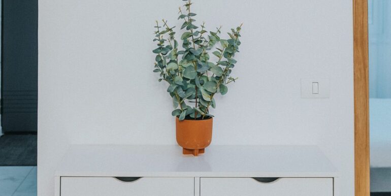 AP1428-Apartament 2 camere de inchiriat, ultracentral, str. Iuliu Maniu-10