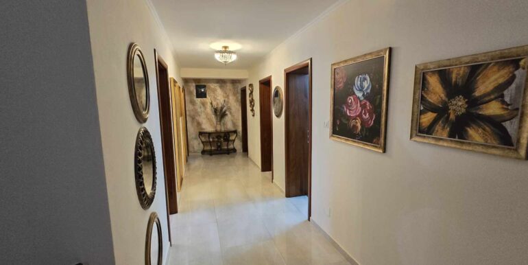 494358450_1204617618491086_8286928303127474808_n