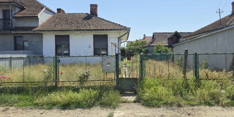 502119443_597772109585146_1467474264763820602_n