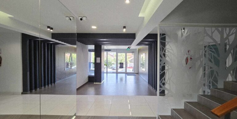 520615985_1255204219388922_7140993461259508774_n