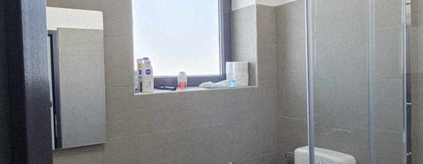 H0033-Hala,showroom,birouri de vanzare-23