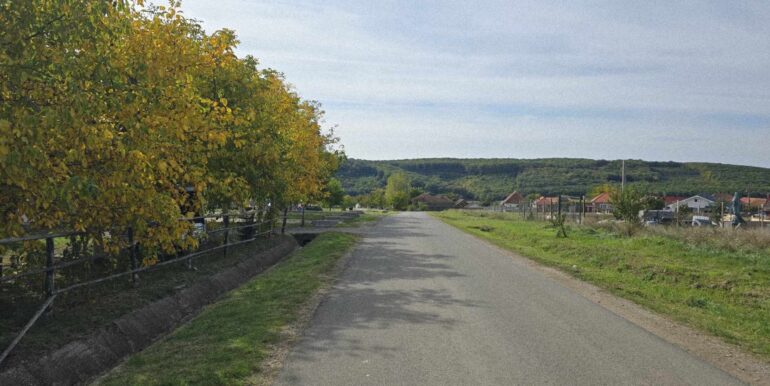 564890231_811446344711020_3149445764392304667_n