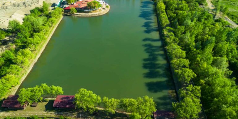 AF0010-Sfera Place de inchiriat, Ineu de Cris-01