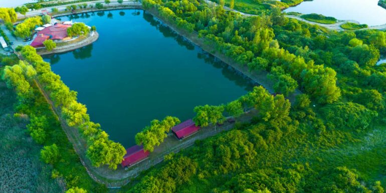 AF0010-Sfera Place de inchiriat, Ineu de Cris-07