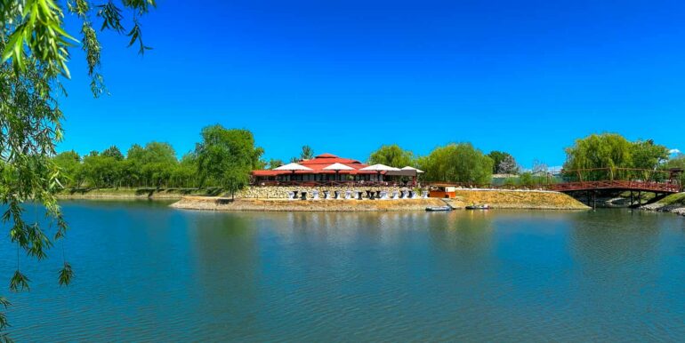 AF0010-Sfera Place de inchiriat, Ineu de Cris-08