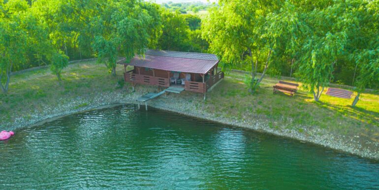 AF0010-Sfera Place de inchiriat, Ineu de Cris-12