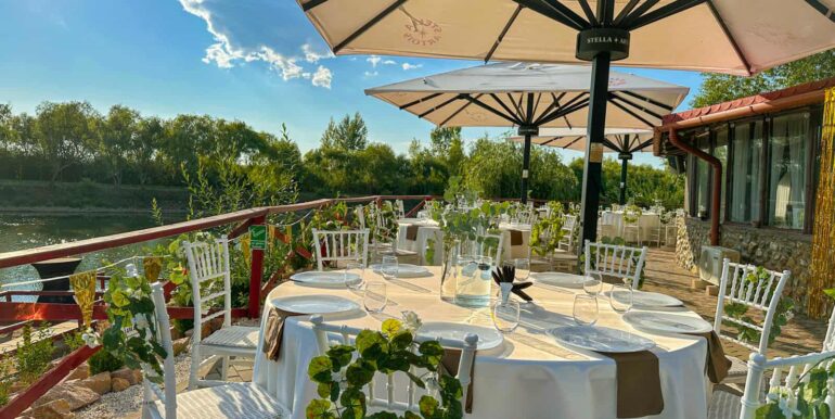 AF0010-Sfera Place de inchiriat, Ineu de Cris-13