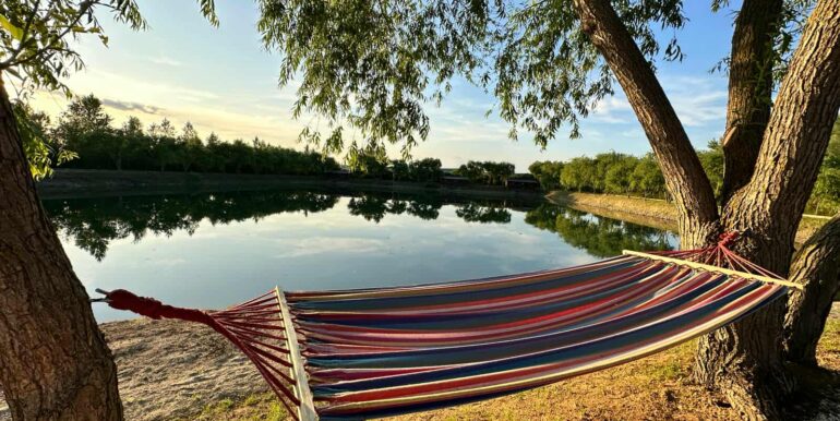 AF0010-Sfera Place de inchiriat, Ineu de Cris-15