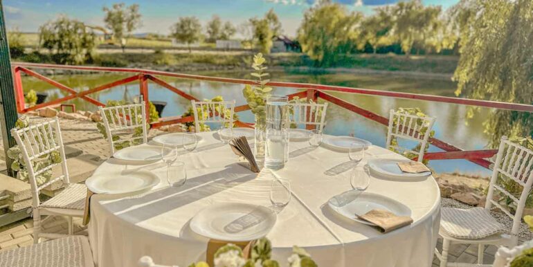 AF0010-Sfera Place de inchiriat, Ineu de Cris-20