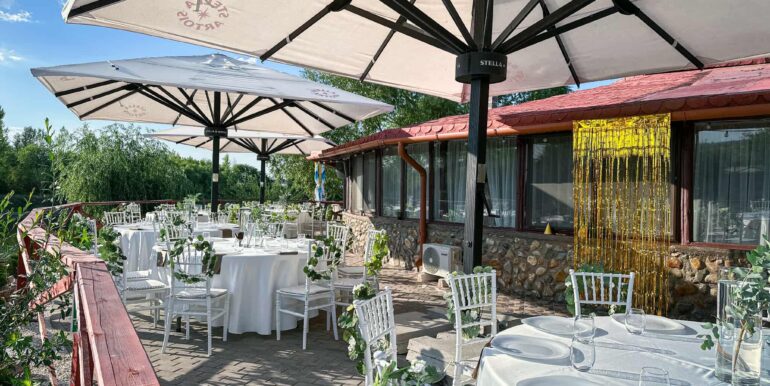 AF0010-Sfera Place de inchiriat, Ineu de Cris-29