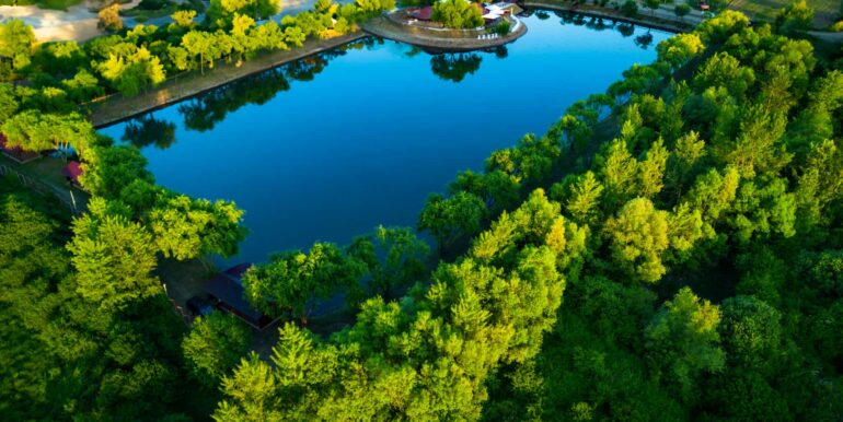 AF0010-Sfera Place de inchiriat, Ineu de Cris-32