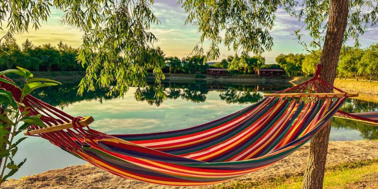 AF0010-Sfera Place de inchiriat, Ineu de Cris-36