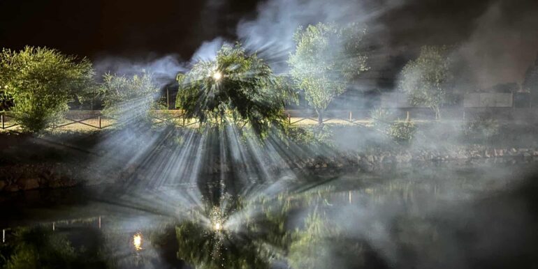 AF0010-Sfera Place de inchiriat, Ineu de Cris-39