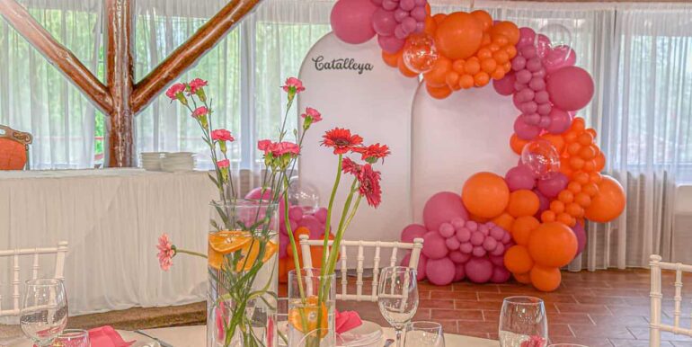 AF0010-Sfera Place de inchiriat, Ineu de Cris-40