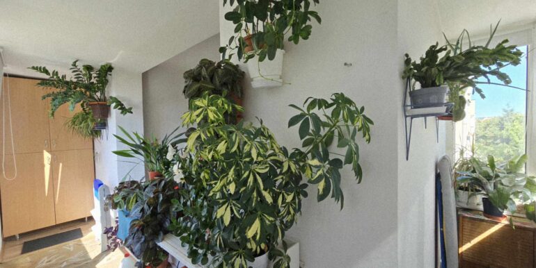 AP1456-Apartament 2 cam. de vânzare Splaiul Crișanei, Decebal-12