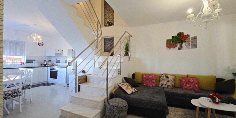 CV0520-Casa de vânzare Oncea serpentina Paleu-25