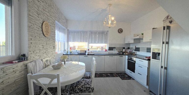 CV0520-Casa de vânzare Oncea serpentina Paleu-26